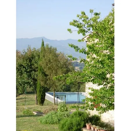 فيلة Rughino Monterchi
